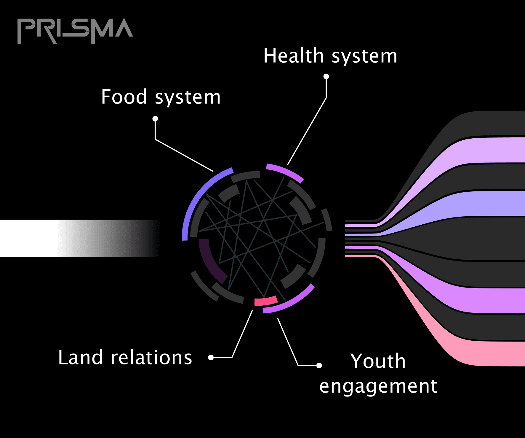 integrative-capacity-building.png